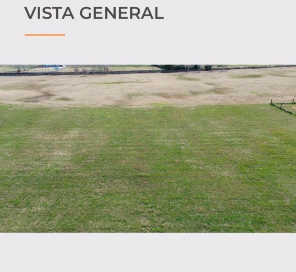 LOTE HARAS DEL SUR
