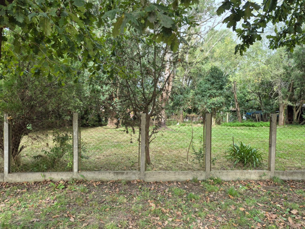 LOTE C POSIBILIDAD DE AMPLIACION