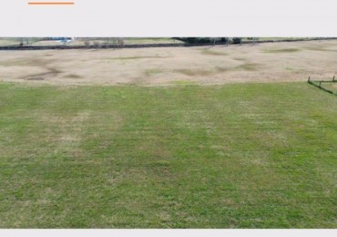 LOTE HARAS DEL SUR